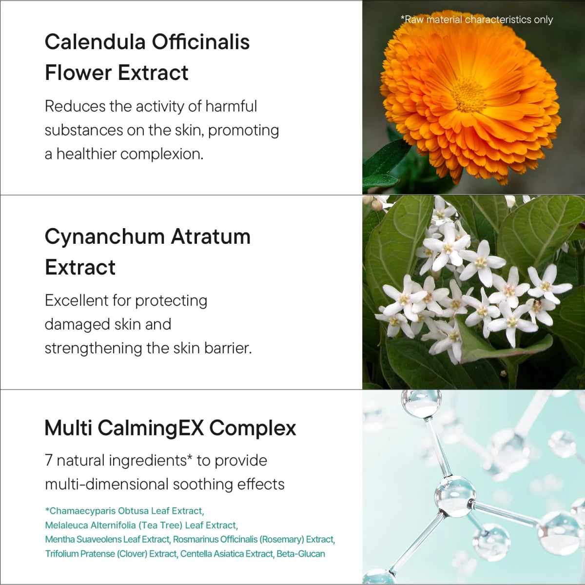 iUNIK : Calendula Balancing Foam Gel Cleanser