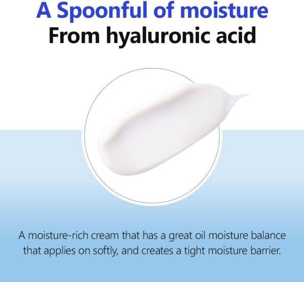 Isntree : Hyaluronic Acid Moist Cream