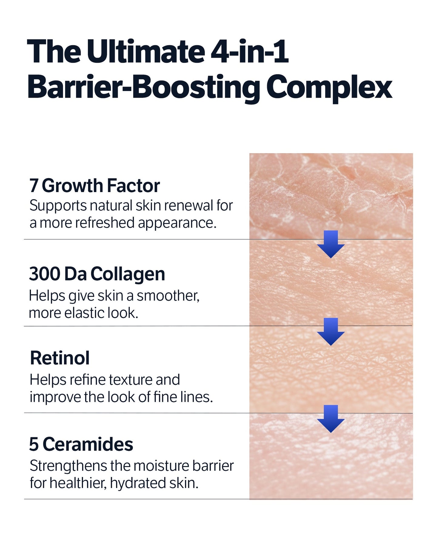 SUNGBOON EDITOR : Deep Collagen 7GF Ceramide Advanced Barrier Night Cream