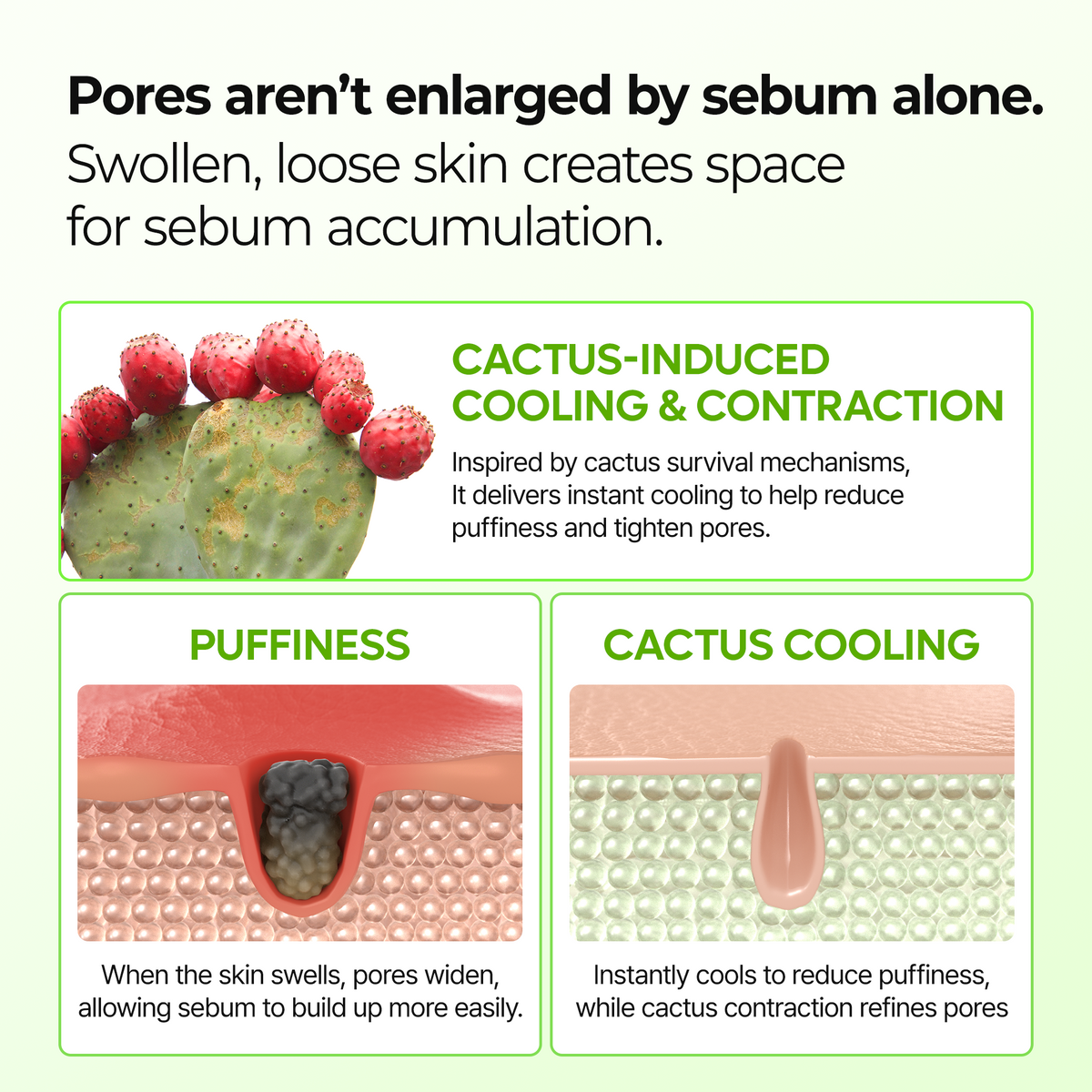 Dr.Melaxin : Cactox Pore Relief Multi Balm