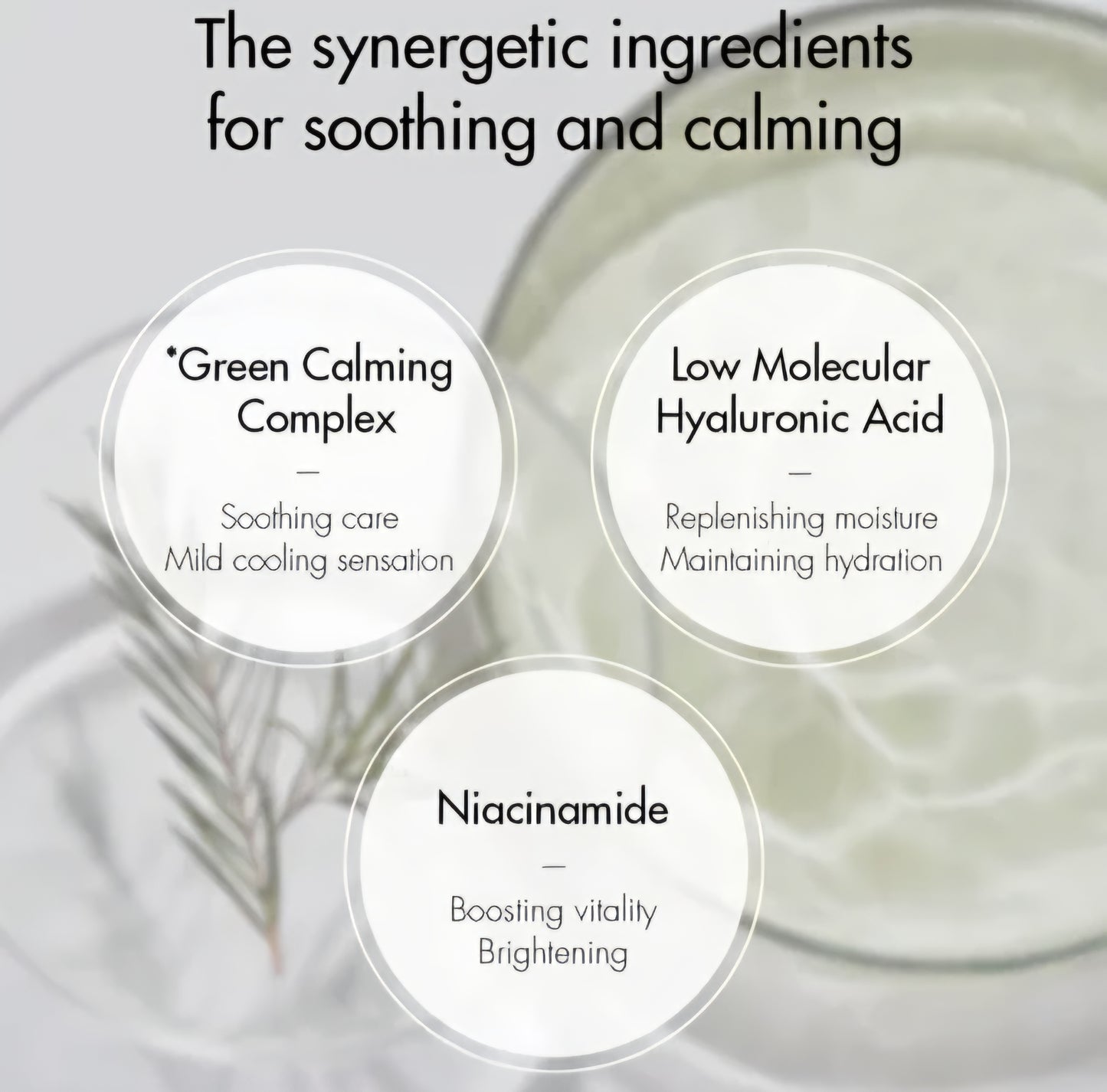 Dr. Ceuracle : Tea Tree Purifine Cleansing Foam