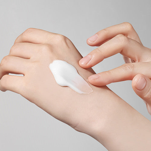 CARE:NEL : Ceramide Vita B5 Double Barrier Cream