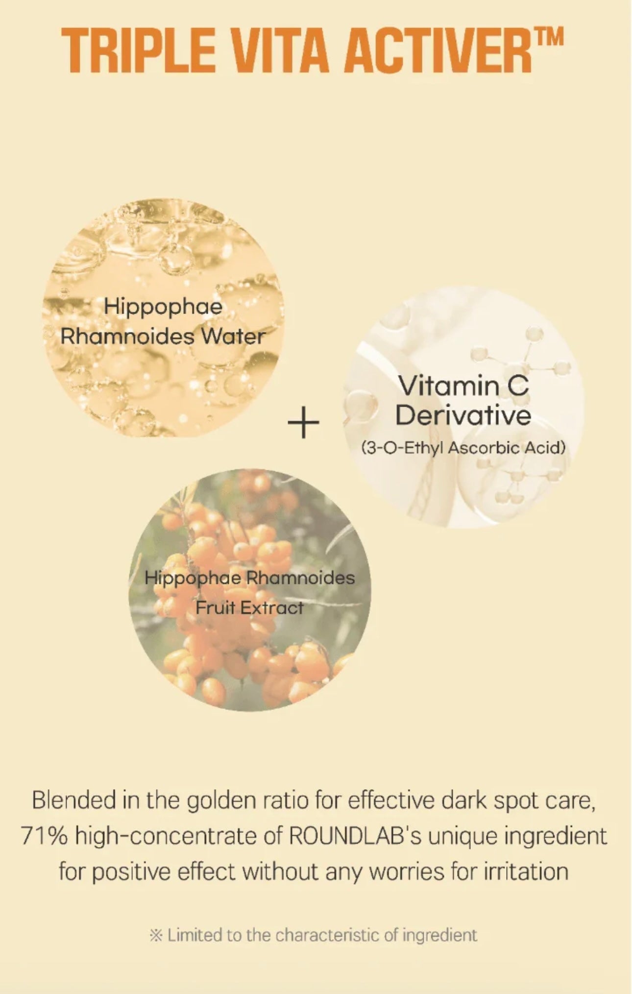ROUND LAB : Vita Niacinamide Dark Spot Cream