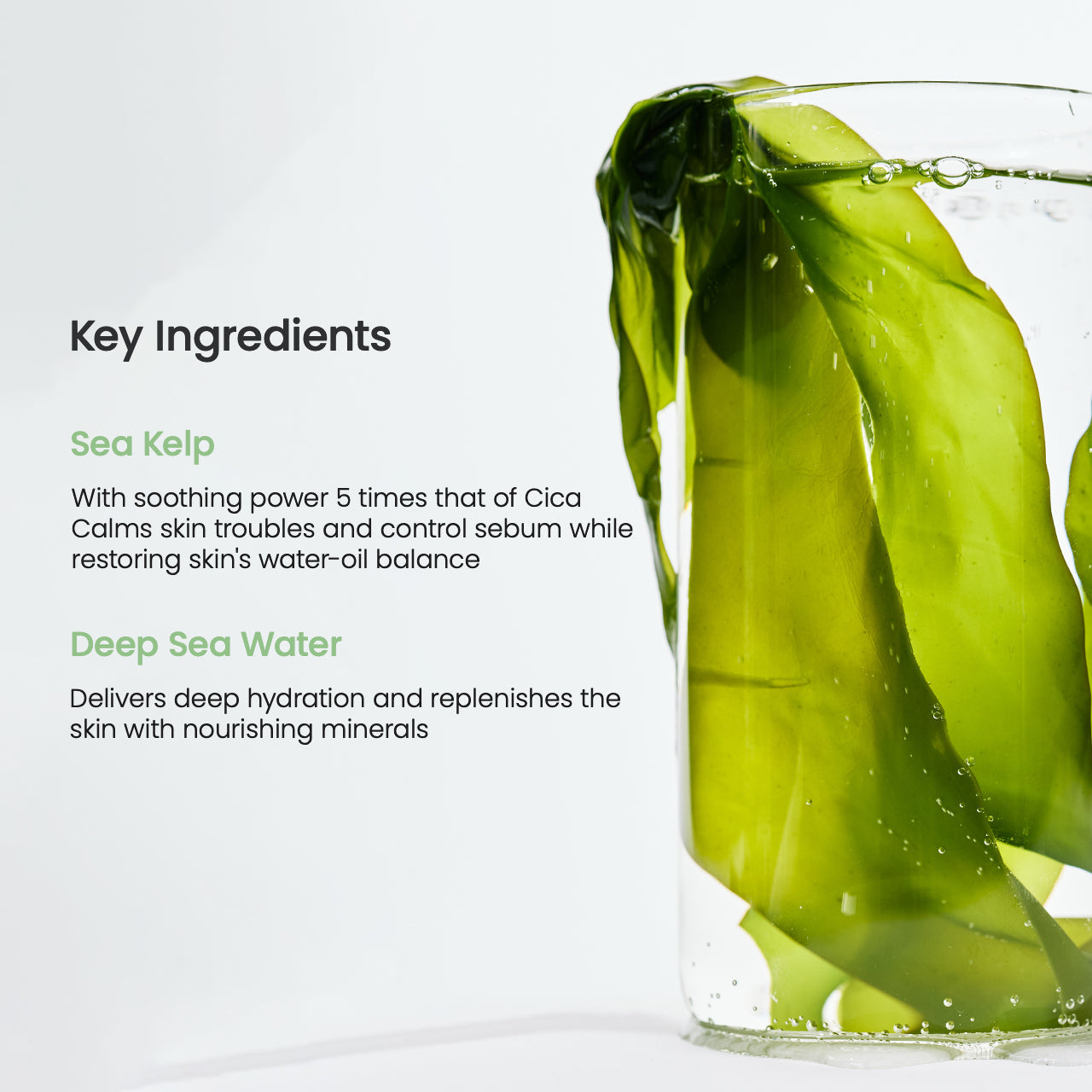 Biodance : Refreshing Sea Kelp Real Deep Mask Set