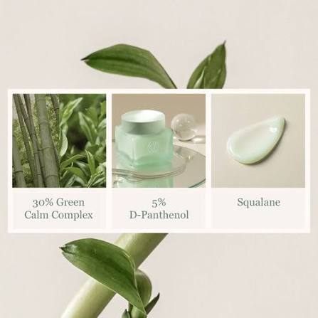 KAINE : Green Calm Aqua Soothing Cream