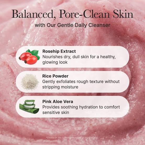 Arencia : Fresh Rosehip Rice Mochi Cleanser