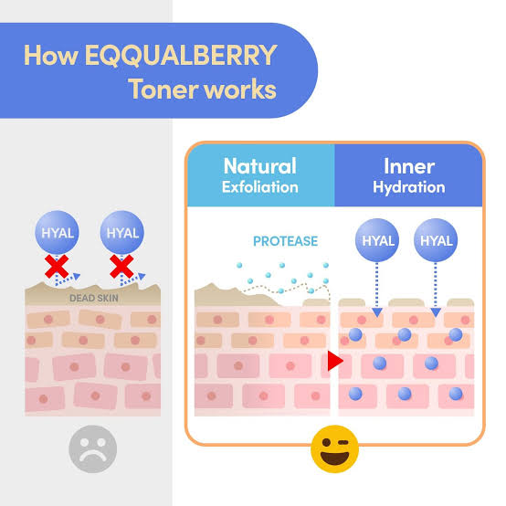 EQQUALBERRY - Swimming Pool Toner
