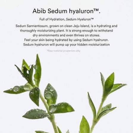 Abib : Sedum Hyaluron Pad Hydrating Touch