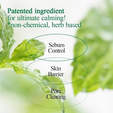 Pyunkang Yul : Ultimate Calming Solution Ampoule