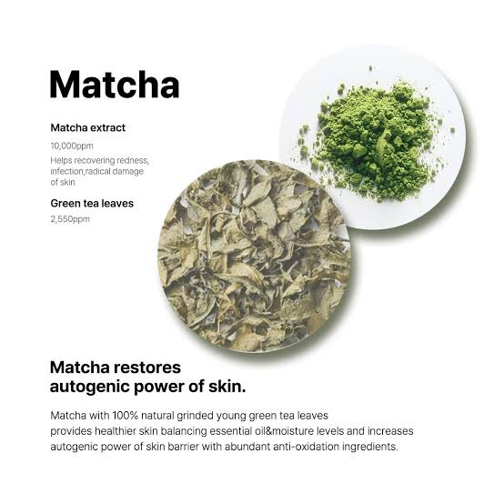 B:Lab : Matcha Hydrating Foam Cleanser