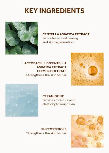 SKIN1004 : Madagascar Centella Probio-Cica Enrich Cream
