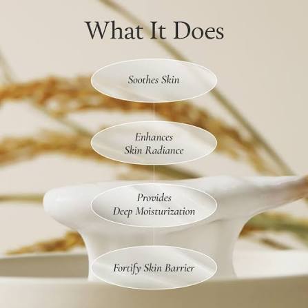FULLY : Rice-Dough Modeling Mask Set