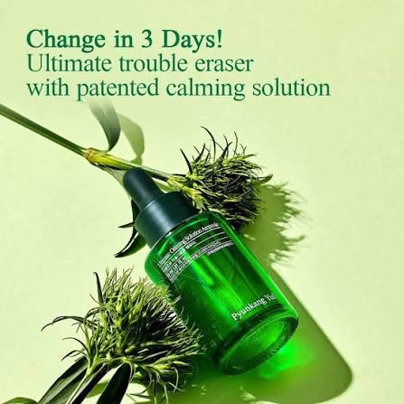 Pyunkang Yul : Ultimate Calming Solution Ampoule